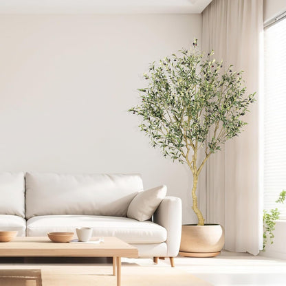 Árbol de Olivo Interior con Maceta Base
