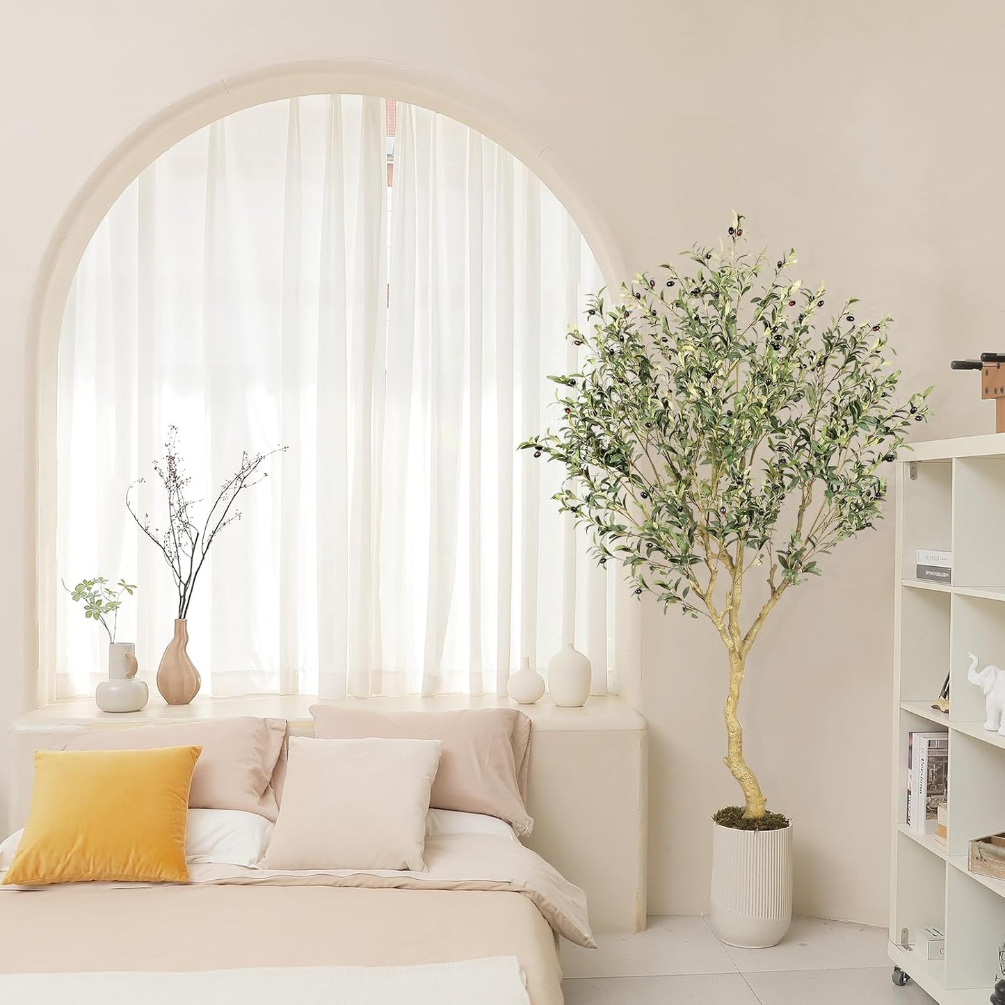 Árbol de Olivo Interior con Maceta Base