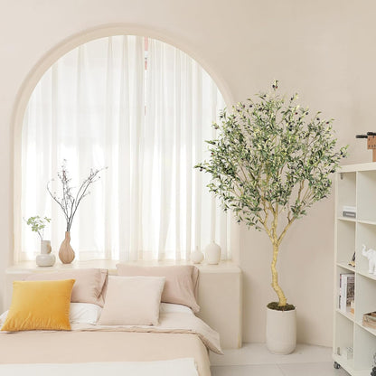 Árbol de Olivo Interior con Maceta Base