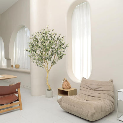 Árbol de Olivo Interior con Maceta Base