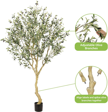 Árbol de Olivo Interior con Maceta Base