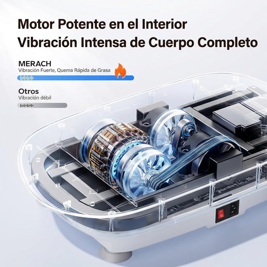 Plataforma Vibratoria Curva Drenaje & Relax