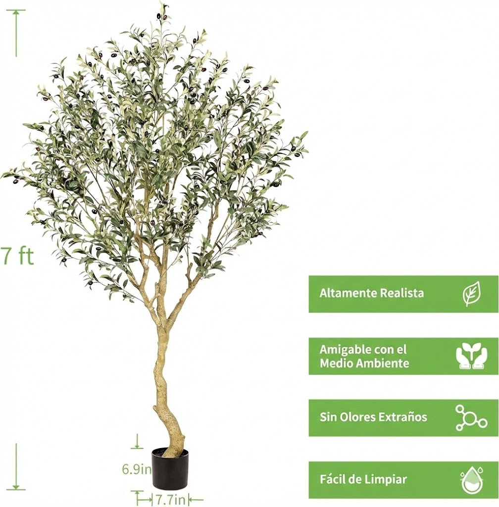 Árbol de Olivo Interior con Maceta Base